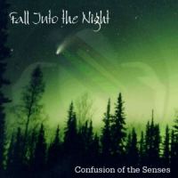 Cover of Fall Into the Night